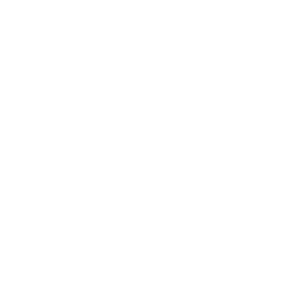 audi motor revisie