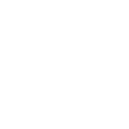 Mercedes-Benz motor revisie