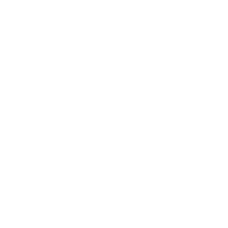 skoda motor revisie