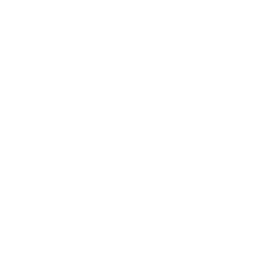 Volkswagen motor revisie